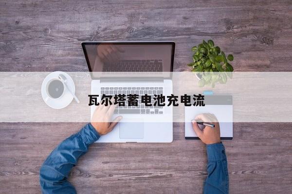 瓦爾塔蓄電池充電流